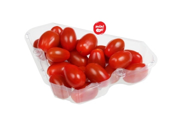 tomati-cherry-plumes